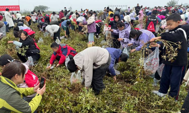 家庭养花用生根粉