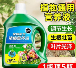 家庭养花用生根粉