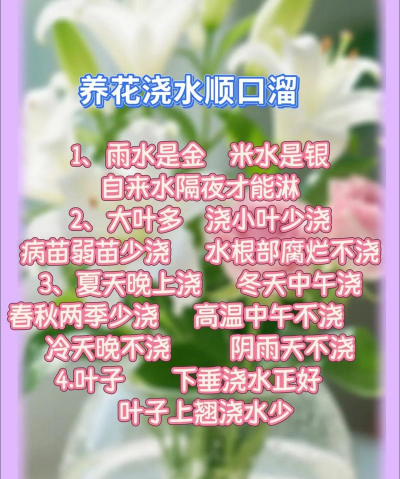 家庭养花用生根粉