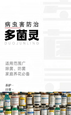 家庭养花用生根粉