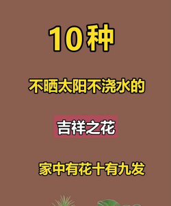 家庭养花用生根粉