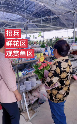 家庭养花用生根粉