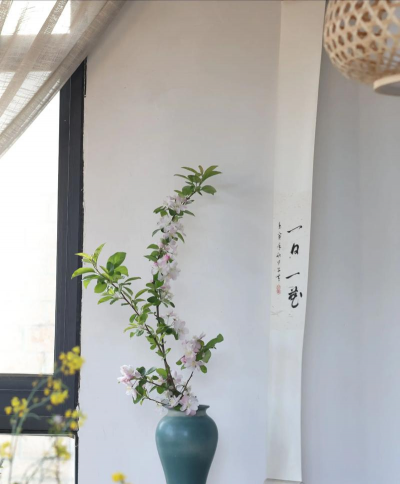 木花瓶怎样养花好看