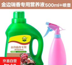 家庭养花用生根粉