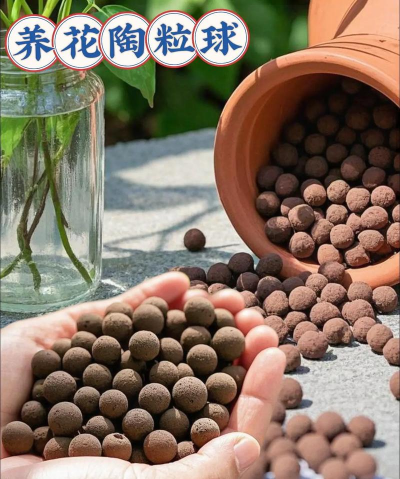 养花桃粒是什么