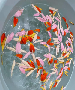 绿化景观设计，提升环境品质，创造宜人空间