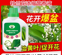 家庭养花用生根粉