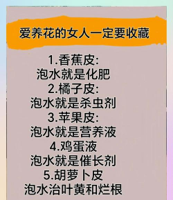 家庭养花用生根粉