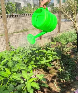 洒水壶养花种菜