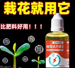 家庭养花用生根粉