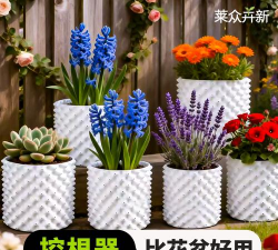 家庭养花用生根粉