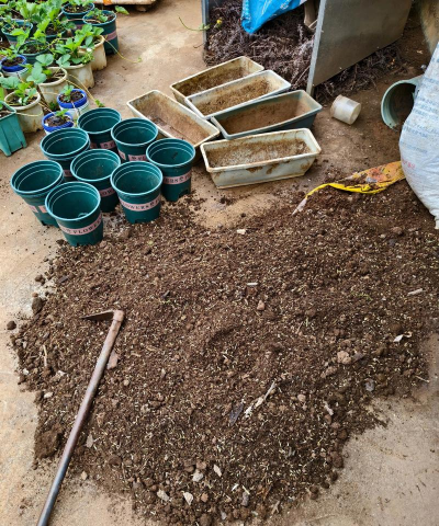 家庭养花用生根粉