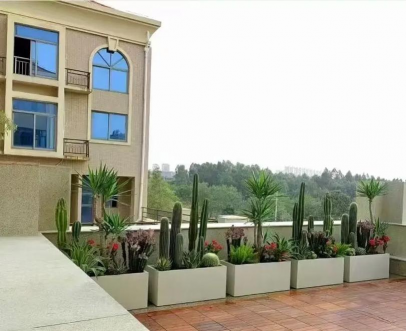 绿化景观设计，提升环境品质，创造宜人空间