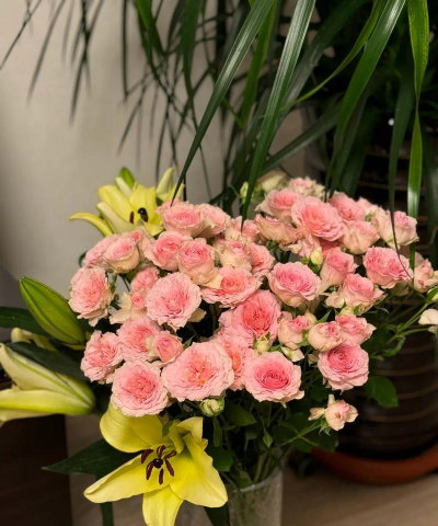 柚柚姥姥爱养花