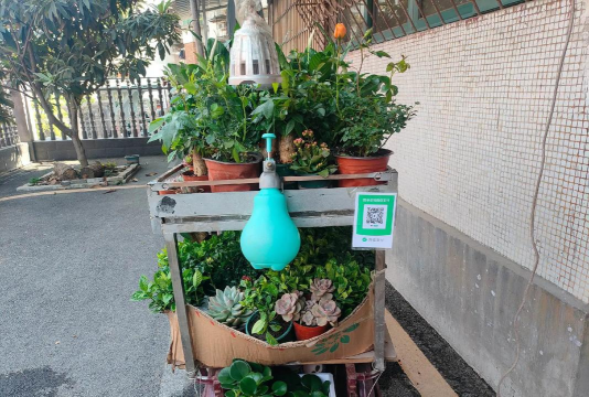 家庭养花用生根粉