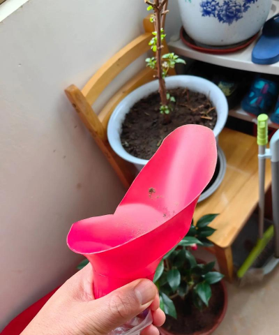 家庭养花用生根粉