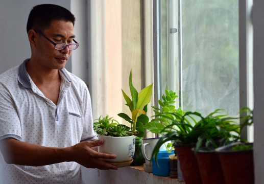 家庭养花用生根粉