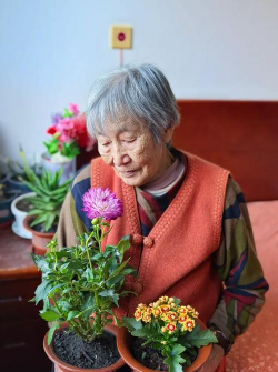 家庭养花用生根粉