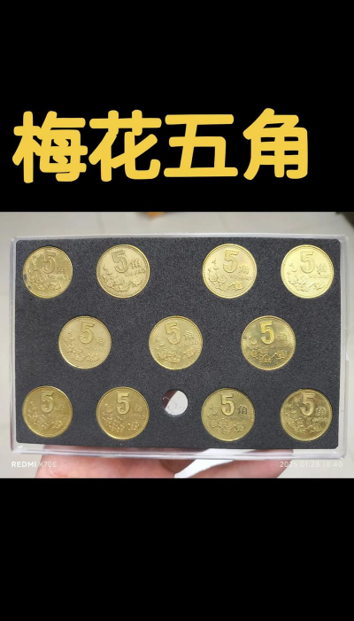 绯花玉怎么养，掌握关键技巧，轻松养出好状态