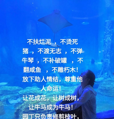 兰草花怎么养，掌握关键技巧，轻松培育美丽花朵