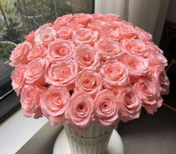 兰草花怎么养，掌握关键技巧，轻松培育美丽花朵