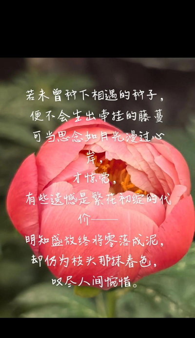 柿树虫病防治，识别常见虫害，掌握有效方法