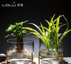 芍药花怎么养，掌握关键要点，花开更鲜艳