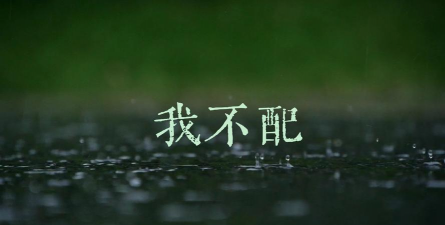 芍药花怎么养，掌握关键要点，花开更鲜艳