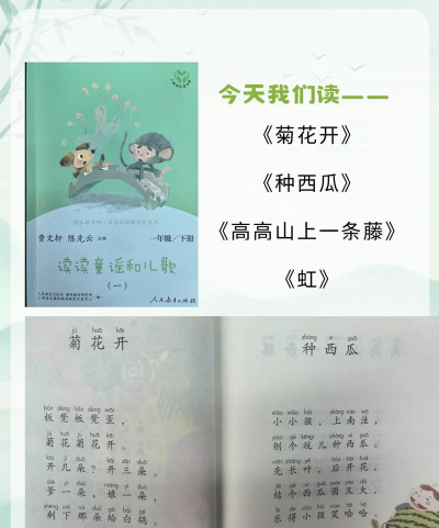 柿树虫病防治，识别常见虫害，掌握有效方法