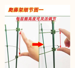 柿树虫病防治，识别常见虫害，掌握有效方法