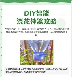 柿树虫病防治，识别常见虫害，掌握有效方法