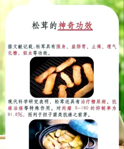 柿树虫病防治，识别常见虫害，掌握有效方法