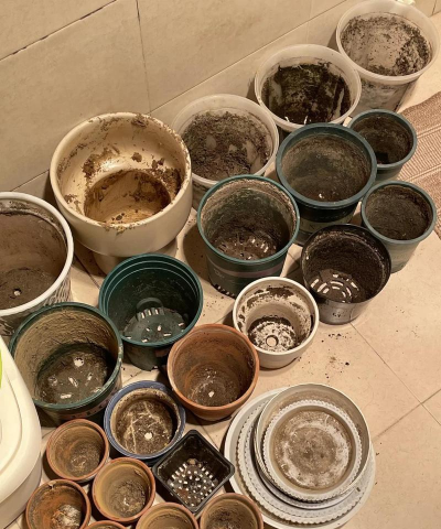 绿化景观设计，提升环境品质，创造宜人空间