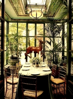 玫瑰花怎么养才不会枯萎，掌握浇水施肥技巧，轻松延长花期