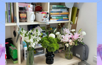 绿化景观设计，提升环境品质，创造宜人空间