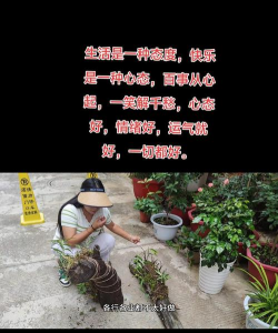 葡萄栽培，掌握关键技术，实现优质丰产