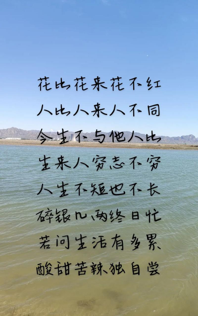 玫瑰花怎么养才不会枯萎，掌握浇水施肥技巧，轻松延长花期