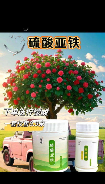 家庭养花用生根粉