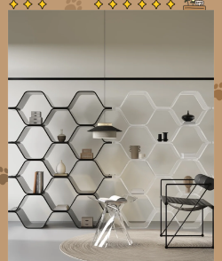 芍药花怎么养，掌握关键要点，花开更鲜艳