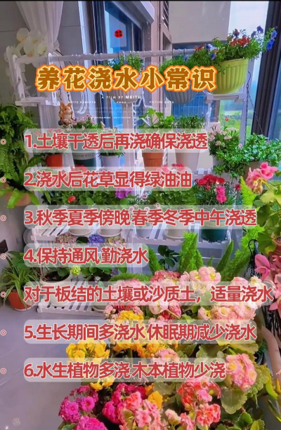 海棠花的栽培，选对品种很关键，掌握技巧不费力