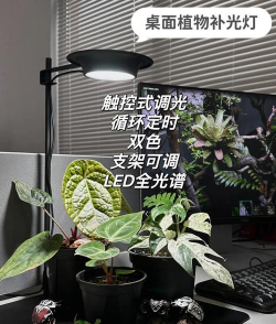 柿树虫病防治，识别常见虫害，掌握有效方法