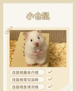 柿树虫病防治，识别常见虫害，掌握有效方法