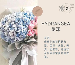 柿树虫病防治，识别常见虫害，掌握有效方法