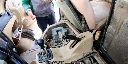 柿树虫病防治，识别常见虫害，掌握有效方法