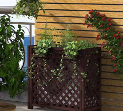 柿树虫病防治，识别常见虫害，掌握有效方法