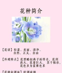柿树虫病防治，识别常见虫害，掌握有效方法