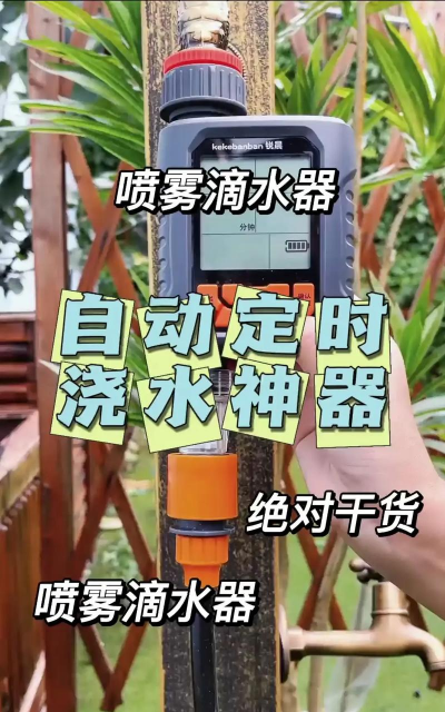 柿树虫病防治，识别常见虫害，掌握有效方法