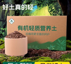 玫瑰花怎么养才不会枯萎，掌握浇水施肥技巧，轻松延长花期