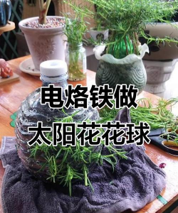 玫瑰花怎么养才不会枯萎，掌握浇水施肥技巧，轻松延长花期