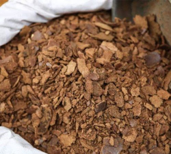 柿树虫病防治，识别常见虫害，掌握有效方法